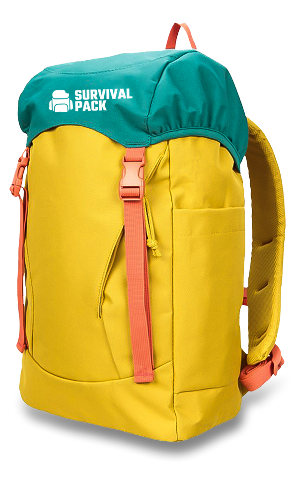 Taco Tote Backpack